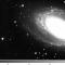 Dolomiti Astronomical Observatory (Osservatorio astronomico): M81